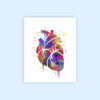 Dignovel Studios Unframed (Set of 3) Human Anatomy Watercolor art print set Heart Lung Brain wall prints dnc23 - Image 2