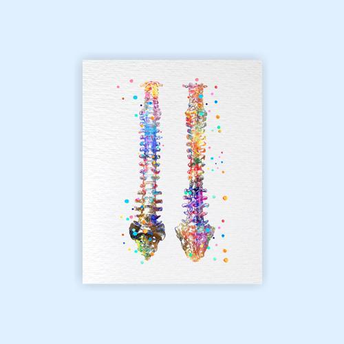 Dignovel Studios Unframed Human Spine Bone Anatomy Medical Art Doctor Watercolor Art Print Wall Art Poster Home Decor Hanging DN529 - Image 2