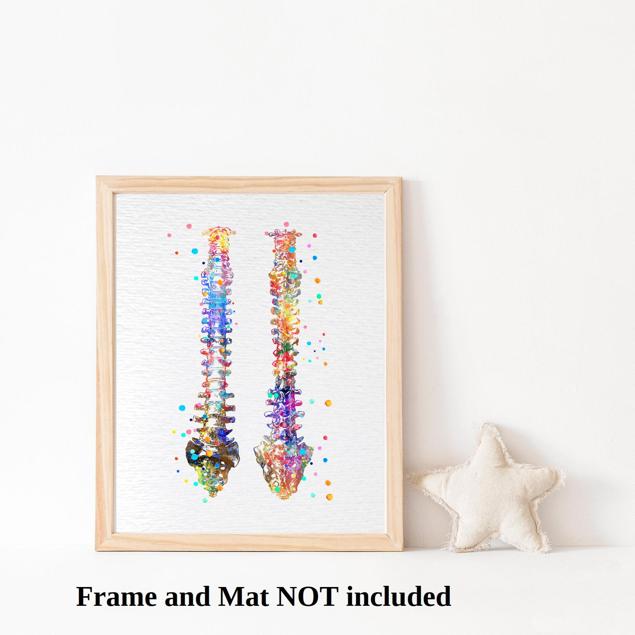Dignovel Studios Unframed Human Spine Bone Anatomy Medical Art Doctor Watercolor Art Print Wall Art Poster Home Decor Hanging DN529 - Image 3
