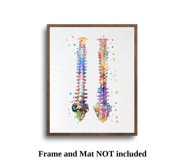Dignovel Studios Unframed Human Spine Bone Anatomy Medical Art Doctor Watercolor Art Print Wall Art Poster Home Decor Hanging DN529 - Image 5