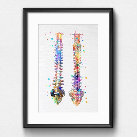 Dignovel Studios Unframed Human Spine Bone Anatomy Medical Art Doctor Watercolor Art Print Wall Art Poster Home Decor Hanging DN529 - Image 6