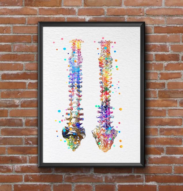 Dignovel Studios Unframed Human Spine Bone Anatomy Medical Art Doctor Watercolor Art Print Wall Art Poster Home Decor Hanging DN529 - Image 7