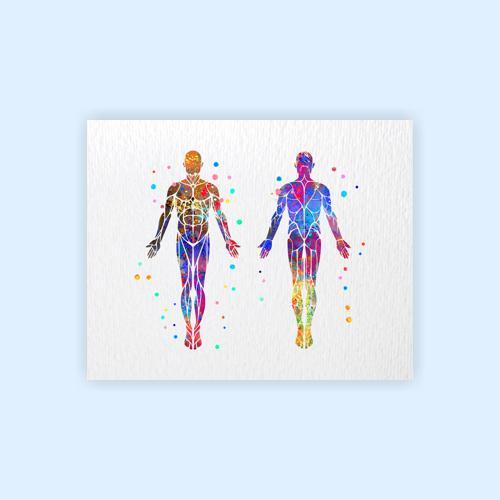 Dignovel Studios Unframed Muscular System Human Body Muscle Anatomy Watercolor Art Print Wall Art Poster Home Decor Hanging DN532 - Image 2