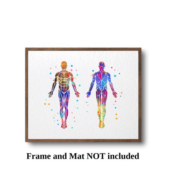 Dignovel Studios Unframed Muscular System Human Body Muscle Anatomy Watercolor Art Print Wall Art Poster Home Decor Hanging DN532 - Image 3