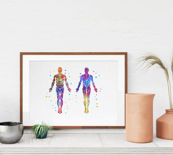 Dignovel Studios Unframed Muscular System Human Body Muscle Anatomy Watercolor Art Print Wall Art Poster Home Decor Hanging DN532 - Image 8