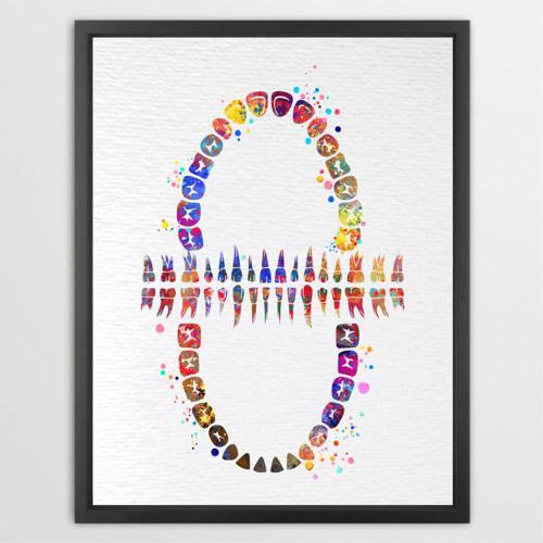 Dignovel Studios Unframed Tooth Chart Anatomical Art Dental Clinic Dentistry Science Watercolor Art Print Wall Art Poster Home Decor Hanging DN565