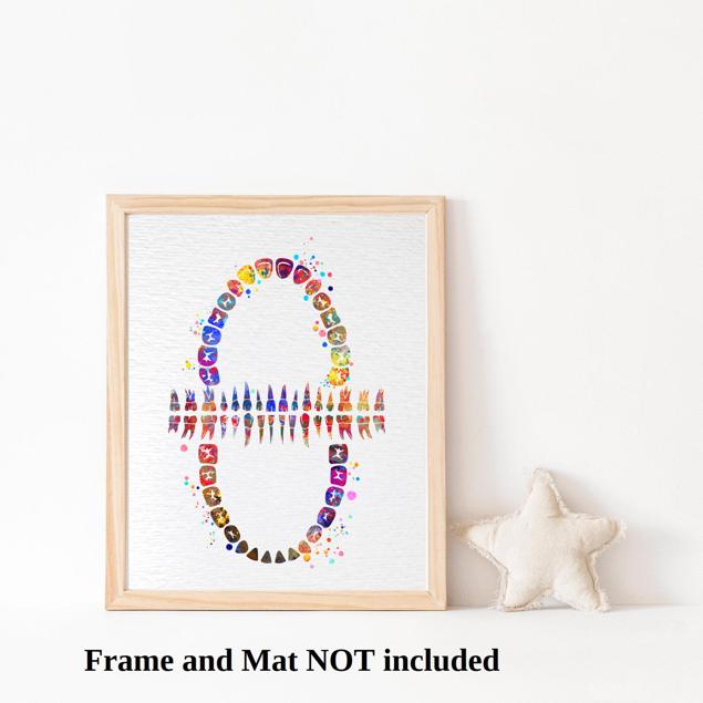 Dignovel Studios Unframed Tooth Chart Anatomical Art Dental Clinic Dentistry Science Watercolor Art Print Wall Art Poster Home Decor Hanging DN565 - Image 3