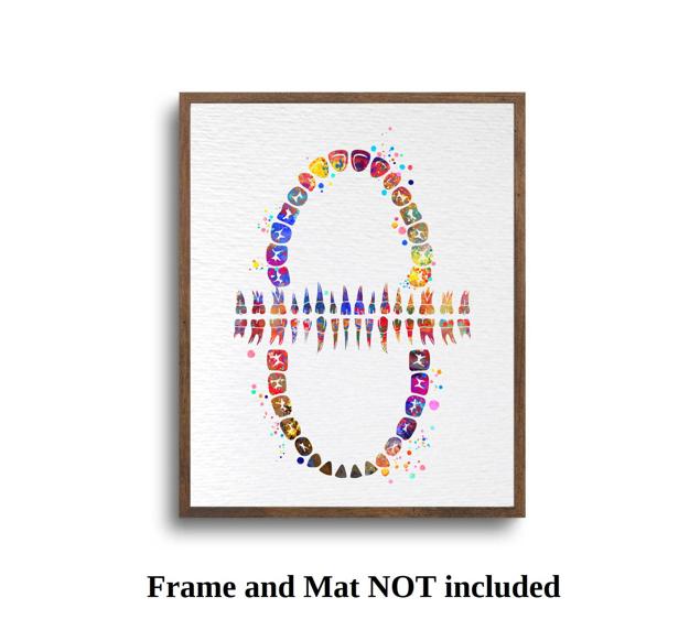 Dignovel Studios Unframed Tooth Chart Anatomical Art Dental Clinic Dentistry Science Watercolor Art Print Wall Art Poster Home Decor Hanging DN565 - Image 5