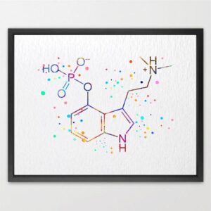 Dignovel Studios Unframed Psilocybin Molecule Chemistry Magic Mushroom Nerd Science Biology Medical Art Watercolor Art Print Wall Art Poster Home Decor Hanging DN593