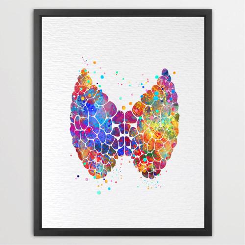 Dignovel Studios Unframed Thyroid Gland Anatomy Human Body Abstract Medical Art Science Doctor Clinic Watercolor Art Print Wall Art Poster Home Decor Hanging DN595