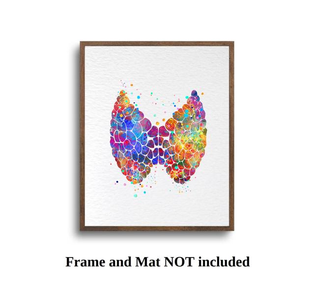 Dignovel Studios Unframed Thyroid Gland Anatomy Human Body Abstract Medical Art Science Doctor Clinic Watercolor Art Print Wall Art Poster Home Decor Hanging DN595 - Image 5