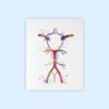 Dignovel Studios Unframed Circle Of Willis Watercolor Print Arteries Brain Medical Art Neurologist Office Art Neurology Watercolor Art Print Wall Art Poster Home Decor Hanging DN630 - Image 2