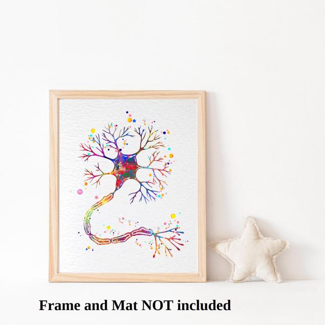 Dignovel Studios Unframed Motor Neuron Watercolor Print Science Art Neurology Medical Art Brain Neuroscience Art Neurologist Clinic Watercolor Art Print Wall Art Poster Home Decor Hanging DN634 - Image 3
