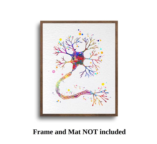 Dignovel Studios Unframed Motor Neuron Watercolor Print Science Art Neurology Medical Art Brain Neuroscience Art Neurologist Clinic Watercolor Art Print Wall Art Poster Home Decor Hanging DN634 - Image 5