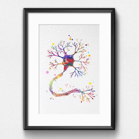 Dignovel Studios Unframed Motor Neuron Watercolor Print Science Art Neurology Medical Art Brain Neuroscience Art Neurologist Clinic Watercolor Art Print Wall Art Poster Home Decor Hanging DN634 - Image 6