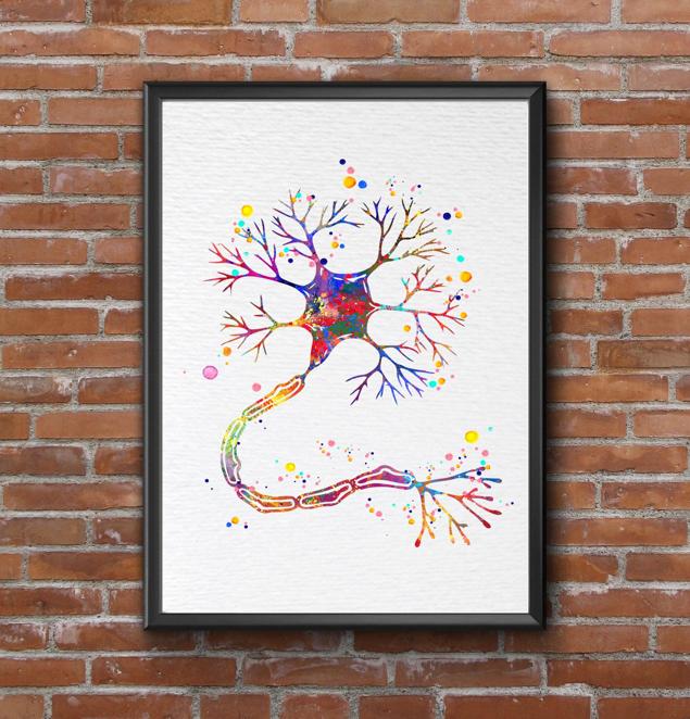 Dignovel Studios Unframed Motor Neuron Watercolor Print Science Art Neurology Medical Art Brain Neuroscience Art Neurologist Clinic Watercolor Art Print Wall Art Poster Home Decor Hanging DN634 - Image 7
