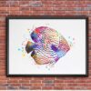 Dignovel Studios Unframed Discus Fish Sea Life Tropical Ocean Aquarium Watercolor Nursery Office Watercolor Art Print Wall Art Poster Home Decor Hanging DN636 - Image 7