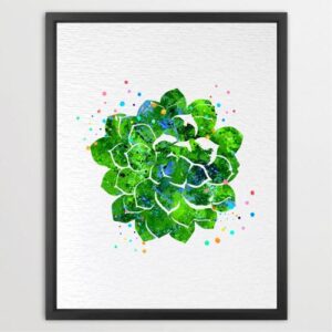 Dignovel Studios Unframed Succulent Plants Echeveria Flower Desert Central America Mexico Refreshing Green Garden Watercolor Art Print Wall Art Poster Home Decor Hanging DN657