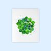 Dignovel Studios Unframed Succulent Plants Echeveria Flower Desert Central America Mexico Refreshing Green Garden Watercolor Art Print Wall Art Poster Home Decor Hanging DN657 - Image 2
