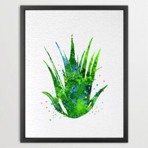 Dignovel Studios Unframed Succulent Plants Aloe Tropical Refreshing Green Garden Watercolor Art Print Wall Art Poster Home Decor Hanging DN658