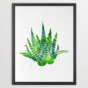 Dignovel Studios Unframed Succulent Plants Zebra Haworthia South Africa Refreshing Green Garden Watercolor Art Print Wall Art Poster Home Decor Hanging DN659