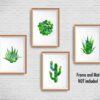 Dignovel Studios Unframed Set of 4 Succulent Plants Cactus Blossom Echeveria Flower Aloe Zebra Haworthia Refreshing Green Garden Watercolor Art Print Wall Art Poster Home Decor Hanging DN660 - Image 3