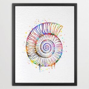 Dignovel Studios Unframed Spiral Shell Nautilus Ocean Sea Snail Peridic Pattern Nature Peace Love Happiness Symbol Watercolor Art Print Wall Art Poster Home Decor Hanging DN671