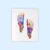 Dignovel Studios Unframed Foot Bone Watercolor Human Anatomy Skeletal Medical Art Orthopedic Surgery Art Nurse Art Skeleton Print Clinic Watercolor Art Print Wall Art Poster Home Decor Hanging DN679 - Image 2