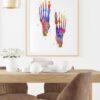 Dignovel Studios Unframed Foot Bone Watercolor Human Anatomy Skeletal Medical Art Orthopedic Surgery Art Nurse Art Skeleton Print Clinic Watercolor Art Print Wall Art Poster Home Decor Hanging DN679 - Image 8