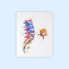 Dignovel Studios Unframed Lumbar Spinal Cord Cross Section Sacrum Coccyx Bone Watercolor Medical Neurology Neurosurgeon Neurologist Watercolor Art Print Wall Art Poster Home Decor Hanging DN681 - Image 2