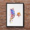 Dignovel Studios Unframed Lumbar Spinal Cord Cross Section Sacrum Coccyx Bone Watercolor Medical Neurology Neurosurgeon Neurologist Watercolor Art Print Wall Art Poster Home Decor Hanging DN681 - Image 7