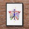 Dignovel Studios Unframed Rib Cage Bone Human Anatomy Medical Art Science Doctor Clinic Hospital Watercolor Art Print Wall Art Poster Home Decor Hanging DN716 - Image 7
