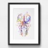 Dignovel Studios Unframed Brain Vessels Human Anatomy Art Watercolor Medical Science Neurology Neuroscience Doctor Hospital Clinic School Watercolor Art Print Wall Art Poster Home Decor Hanging DN734 - Image 6