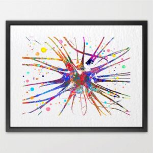 Dignovel Studios Unframed Brain Cell Neuroscience Human Anatomy Watercolor Neuron Art Science Neurology Nerve Cell Medical School Clinia Watercolor Art Print Wall Art Poster Home Decor Hanging DN753