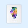 Dignovel Studios Unframed Illinois State Map United States Map N250 Watercolor Art Print Wall Art Poster Home Decor Hanging DN250 - Image 2