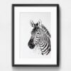 Dignovel Studios Unframed Zebra Safari Animal Africa Wildlife Zoo Zoology Education School Kids N367 Watercolor Art Print Wall Art Poster Home Decor Hanging DN367 - Image 6