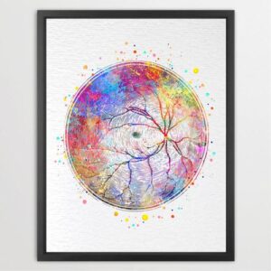 Dignovel Studios Unframed Retinal Vessels Artery Human Eye Anatomy Optometrist Optician Optic Medical Art Ophthalmology Blood Vessels Clinic Wall Art Watercolor Art Print Wall Art Poster Home Decor Hanging DN777