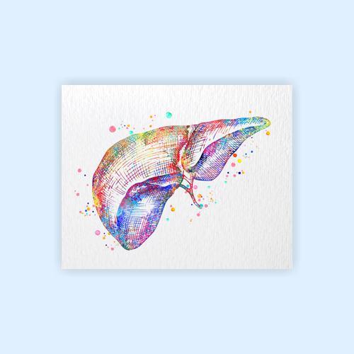 Dignovel Studios Unframed Liver Anatomy Human Organs Gastroenterology Clinic Art Liver Poster Art Medical Science Watercolor Art Print Wall Art Poster Home Decor Hanging DN785 - Image 2