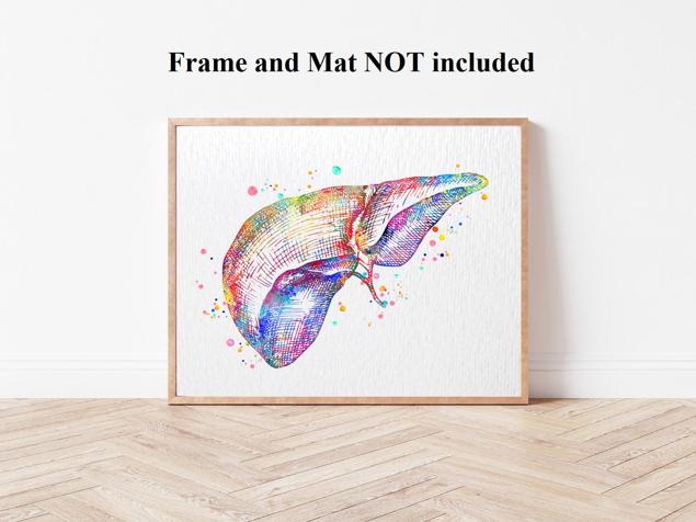 Dignovel Studios Unframed Liver Anatomy Human Organs Gastroenterology Clinic Art Liver Poster Art Medical Science Watercolor Art Print Wall Art Poster Home Decor Hanging DN785 - Image 4