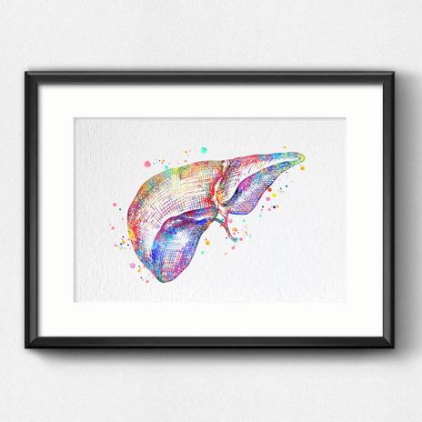 Dignovel Studios Unframed Liver Anatomy Human Organs Gastroenterology Clinic Art Liver Poster Art Medical Science Watercolor Art Print Wall Art Poster Home Decor Hanging DN785 - Image 6