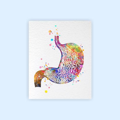 Dignovel Studios Unframed Stomach Human Anatomy Human Organs Gastrointestinal Clinic Gastroenterology Medical Science Gastroenterologist Watercolor Art Print Wall Art Poster Home Decor Hanging DN786 - Image 2