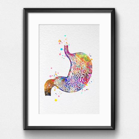 Dignovel Studios Unframed Stomach Human Anatomy Human Organs Gastrointestinal Clinic Gastroenterology Medical Science Gastroenterologist Watercolor Art Print Wall Art Poster Home Decor Hanging DN786 - Image 6