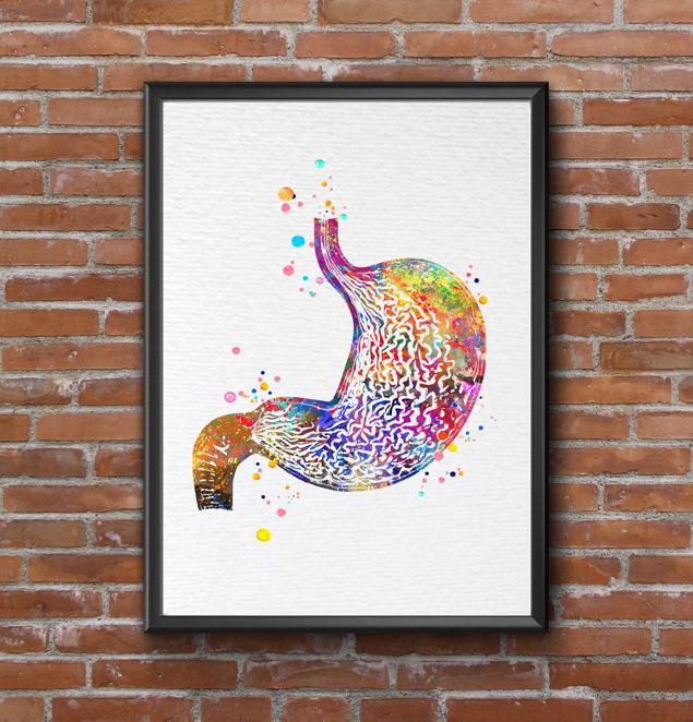 Dignovel Studios Unframed Stomach Human Anatomy Human Organs Gastrointestinal Clinic Gastroenterology Medical Science Gastroenterologist Watercolor Art Print Wall Art Poster Home Decor Hanging DN786 - Image 7