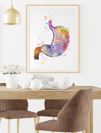 Dignovel Studios Unframed Stomach Human Anatomy Human Organs Gastrointestinal Clinic Gastroenterology Medical Science Gastroenterologist Watercolor Art Print Wall Art Poster Home Decor Hanging DN786 - Image 8