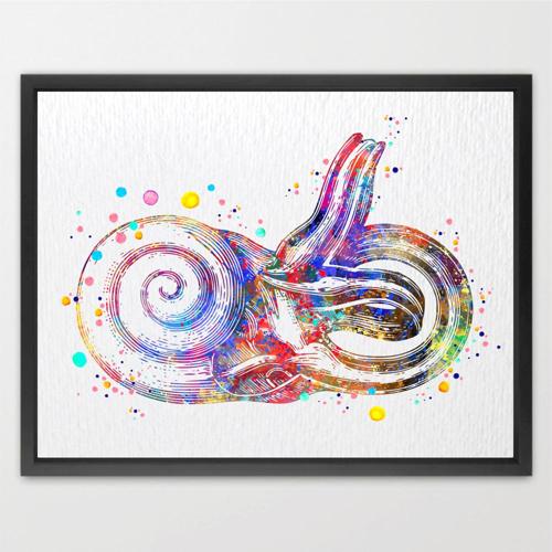 Dignovel Studios Unframed Inner Ear Labyrinth Human Anatomy Audiologist Audiology Ear Diagram Medical Science Human Organs Watercolor Art Print Wall Art Poster Home Decor Hanging DN791