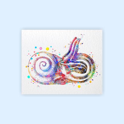 Dignovel Studios Unframed Inner Ear Labyrinth Human Anatomy Audiologist Audiology Ear Diagram Medical Science Human Organs Watercolor Art Print Wall Art Poster Home Decor Hanging DN791 - Image 2