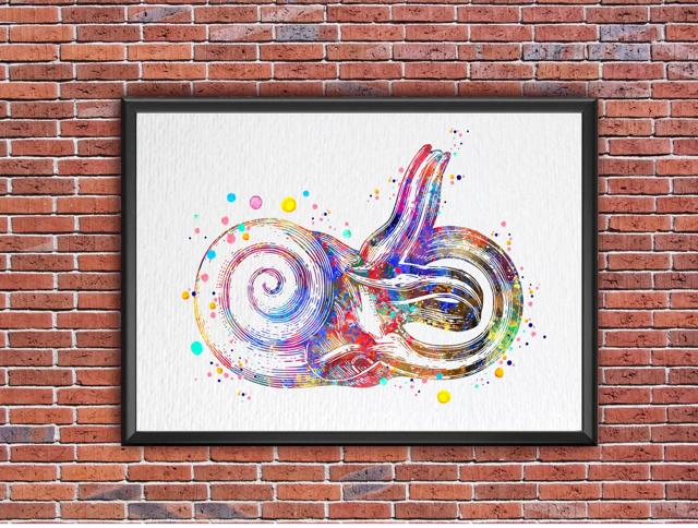 Dignovel Studios Unframed Inner Ear Labyrinth Human Anatomy Audiologist Audiology Ear Diagram Medical Science Human Organs Watercolor Art Print Wall Art Poster Home Decor Hanging DN791 - Image 7