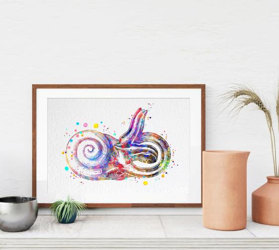 Dignovel Studios Unframed Inner Ear Labyrinth Human Anatomy Audiologist Audiology Ear Diagram Medical Science Human Organs Watercolor Art Print Wall Art Poster Home Decor Hanging DN791 - Image 8