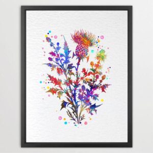 Dignovel Studios Unframed Scottish Thistle Wild Plants Nature Flowers Love Watercolor Art Print Wall Art Poster Home Decor Hanging DN810