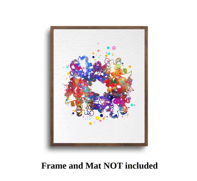 Dignovel Studios Unframed Hemoglobin Red Blood Cell Protein Medical Art Science Hematology Laboratory Clinic Watercolor Art Print Wall Art Poster Home Decor Hanging DN827 - Image 5